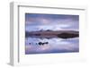 Snow Covered Black Mount Reflected in a Lochan, Rannoch Moor, Highland, Scotland. Winter (November)-Adam Burton-Framed Photographic Print