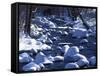 Snow covered boulders along the Hughes River, Shenandoah National Park, Virginia, USA-Charles Gurche-Framed Stretched Canvas