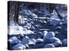 Snow covered boulders along the Hughes River, Shenandoah National Park, Virginia, USA-Charles Gurche-Stretched Canvas