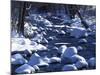 Snow covered boulders along the Hughes River, Shenandoah National Park, Virginia, USA-Charles Gurche-Mounted Photographic Print