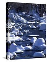 Snow covered boulders along the Hughes River, Shenandoah National Park, Virginia, USA-Charles Gurche-Stretched Canvas