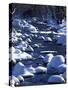 Snow covered boulders along the Hughes River, Shenandoah National Park, Virginia, USA-Charles Gurche-Stretched Canvas