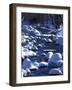 Snow covered boulders along the Hughes River, Shenandoah National Park, Virginia, USA-Charles Gurche-Framed Photographic Print