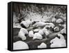 Snow-Covered Boulders and Flowing Creek, Glacier Creek, Rocky Mountain National Park, Colorado, USA-James Hager-Framed Stretched Canvas