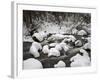 Snow-Covered Boulders and Flowing Creek, Glacier Creek, Rocky Mountain National Park, Colorado, USA-James Hager-Framed Photographic Print