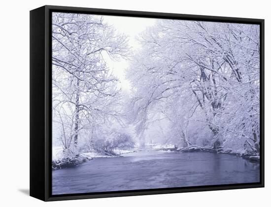 Snow Covered Branches Overhanging Beargrass Creek, Louisville, Kentucky, USA-Adam Jones-Framed Stretched Canvas