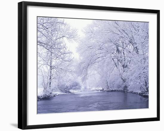 Snow Covered Branches Overhanging Beargrass Creek, Louisville, Kentucky, USA-Adam Jones-Framed Photographic Print