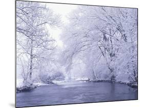 Snow Covered Branches Overhanging Beargrass Creek, Louisville, Kentucky, USA-Adam Jones-Mounted Photographic Print