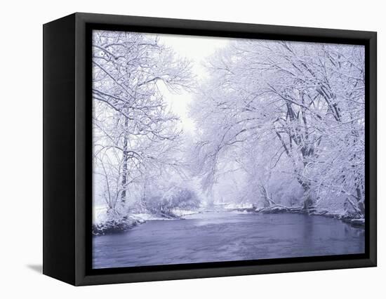 Snow Covered Branches Overhanging Beargrass Creek, Louisville, Kentucky, USA-Adam Jones-Framed Stretched Canvas