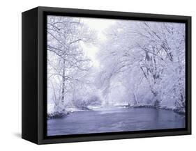 Snow Covered Branches Overhanging Beargrass Creek, Louisville, Kentucky, USA-Adam Jones-Framed Stretched Canvas