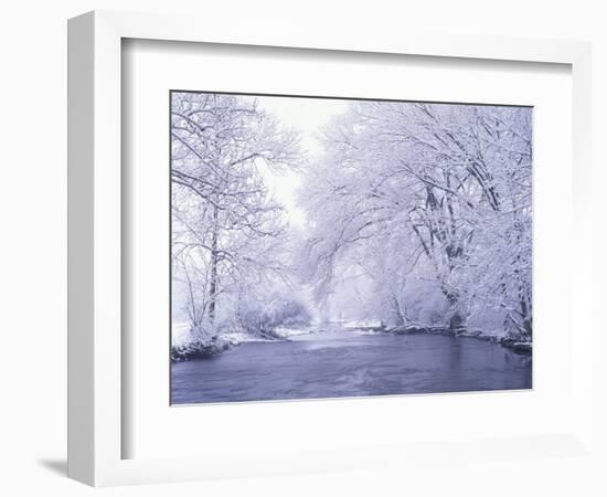 Snow Covered Branches Overhanging Beargrass Creek, Louisville, Kentucky, USA-Adam Jones-Framed Photographic Print