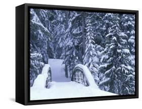 Snow-Covered Bridge and Fir Trees, Washington, USA-Merrill Images-Framed Stretched Canvas