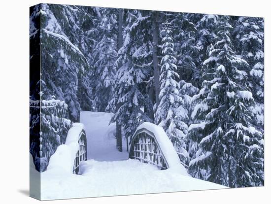 Snow-Covered Bridge and Fir Trees, Washington, USA-Merrill Images-Stretched Canvas