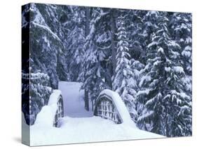 Snow-Covered Bridge and Fir Trees, Washington, USA-Merrill Images-Stretched Canvas