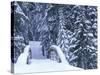 Snow-Covered Bridge and Fir Trees, Washington, USA-Merrill Images-Stretched Canvas