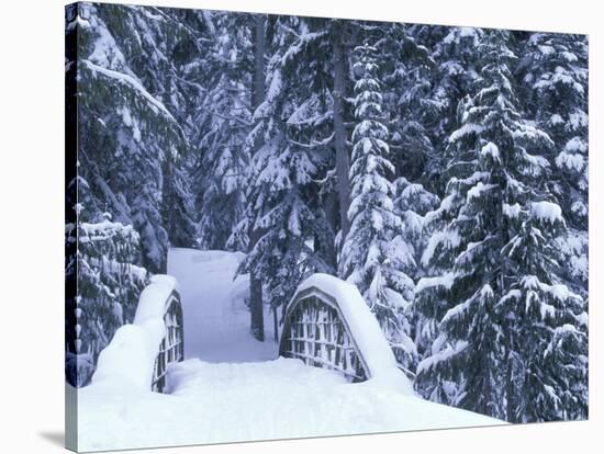 Snow-Covered Bridge and Fir Trees, Washington, USA-Merrill Images-Stretched Canvas