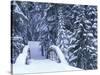 Snow-Covered Bridge and Fir Trees, Washington, USA-Merrill Images-Stretched Canvas