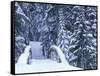 Snow-Covered Bridge and Fir Trees, Washington, USA-Merrill Images-Framed Stretched Canvas