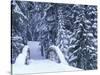 Snow-Covered Bridge and Fir Trees, Washington, USA-Merrill Images-Stretched Canvas