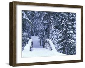 Snow-Covered Bridge and Fir Trees, Washington, USA-Merrill Images-Framed Premium Photographic Print