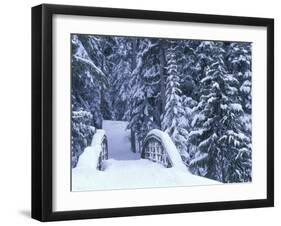 Snow-Covered Bridge and Fir Trees, Washington, USA-Merrill Images-Framed Photographic Print