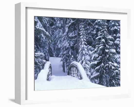 Snow-Covered Bridge and Fir Trees, Washington, USA-Merrill Images-Framed Photographic Print