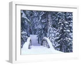 Snow-Covered Bridge and Fir Trees, Washington, USA-Merrill Images-Framed Photographic Print