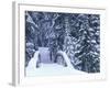 Snow-Covered Bridge and Fir Trees, Washington, USA-Merrill Images-Framed Photographic Print