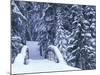 Snow-Covered Bridge and Fir Trees, Washington, USA-Merrill Images-Mounted Photographic Print