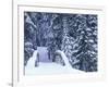 Snow-Covered Bridge and Fir Trees, Washington, USA-Merrill Images-Framed Photographic Print