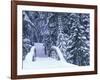 Snow-Covered Bridge and Fir Trees, Washington, USA-Merrill Images-Framed Photographic Print