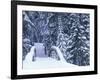 Snow-Covered Bridge and Fir Trees, Washington, USA-Merrill Images-Framed Photographic Print