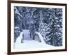 Snow-Covered Bridge and Fir Trees, Washington, USA-Merrill Images-Framed Photographic Print