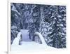 Snow-Covered Bridge and Fir Trees, Washington, USA-Merrill Images-Framed Photographic Print