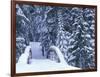 Snow-Covered Bridge and Fir Trees, Washington, USA-Merrill Images-Framed Photographic Print