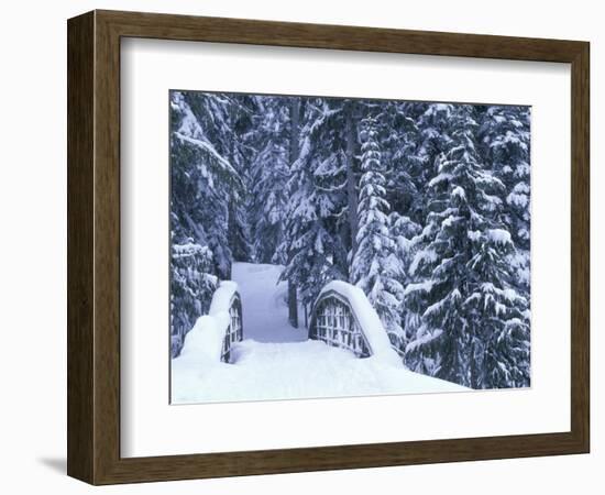 Snow-Covered Bridge and Fir Trees, Washington, USA-Merrill Images-Framed Premium Photographic Print