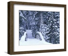 Snow-Covered Bridge and Fir Trees, Washington, USA-Merrill Images-Framed Premium Photographic Print