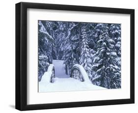Snow-Covered Bridge and Fir Trees, Washington, USA-Merrill Images-Framed Premium Photographic Print