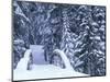 Snow-Covered Bridge and Fir Trees, Washington, USA-Merrill Images-Mounted Premium Photographic Print