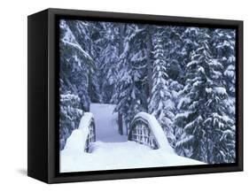 Snow-Covered Bridge and Fir Trees, Washington, USA-Merrill Images-Framed Stretched Canvas