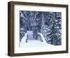 Snow-Covered Bridge and Fir Trees, Washington, USA-Merrill Images-Framed Photographic Print