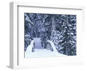 Snow-Covered Bridge and Fir Trees, Washington, USA-Merrill Images-Framed Photographic Print