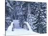 Snow-Covered Bridge and Fir Trees, Washington, USA-Merrill Images-Stretched Canvas