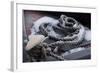 Snow covered canal mooring ropes-Natalie Tepper-Framed Photo