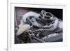 Snow covered canal mooring ropes-Natalie Tepper-Framed Photo
