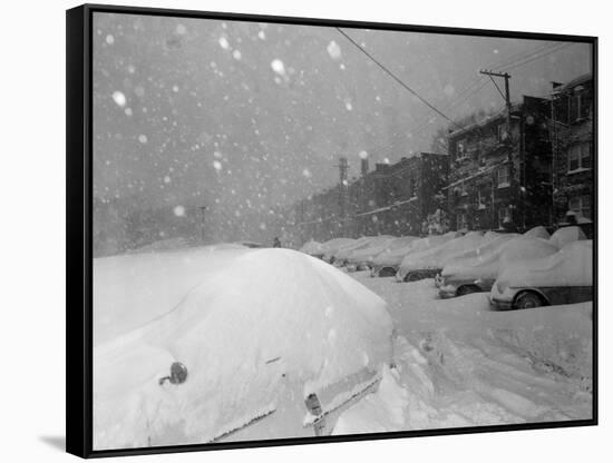 Snow Covered Cars and Snow Falling-null-Framed Stretched Canvas