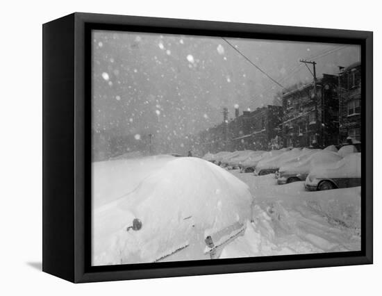 Snow Covered Cars and Snow Falling-null-Framed Stretched Canvas