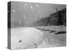 Snow Covered Cars and Snow Falling-null-Stretched Canvas