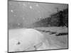 Snow Covered Cars and Snow Falling-null-Mounted Photographic Print