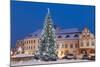 Snow-Covered Christmas Tree and Renaissance Buildings, Jihocesky, Czech Republic, Europe-Richard Nebesky-Mounted Photographic Print